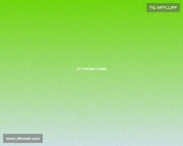 女排16号赛事,中国女排16号有比赛吗